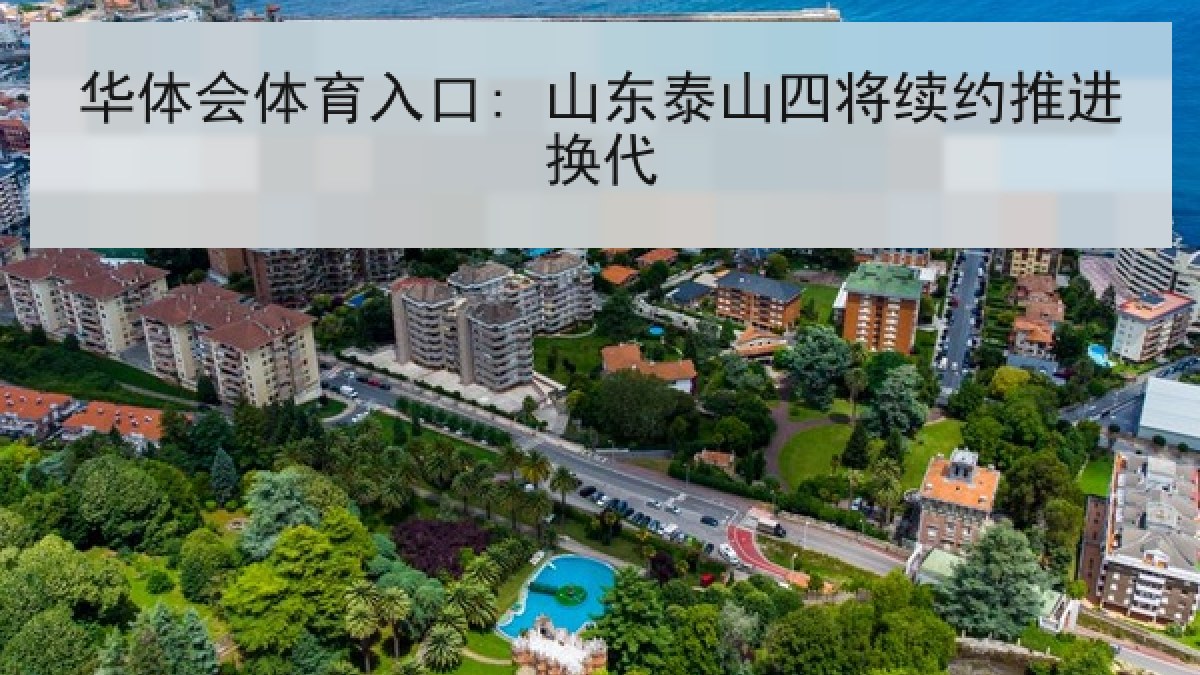 华体会体育入口: 山东泰山四将续约推进换代