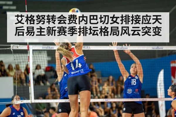 volleyball match action